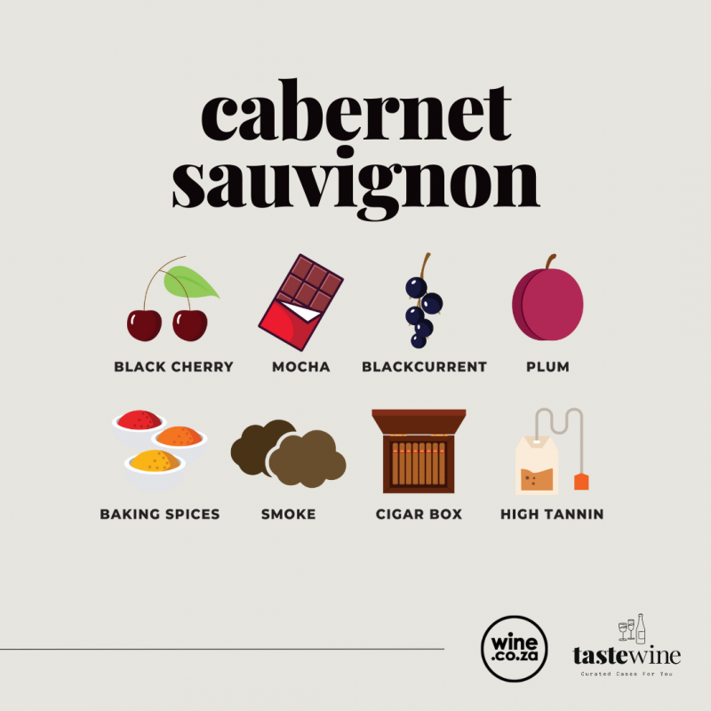 A Taste of Cabernet Sauvignon A Taste of Cabernet Sauvignon