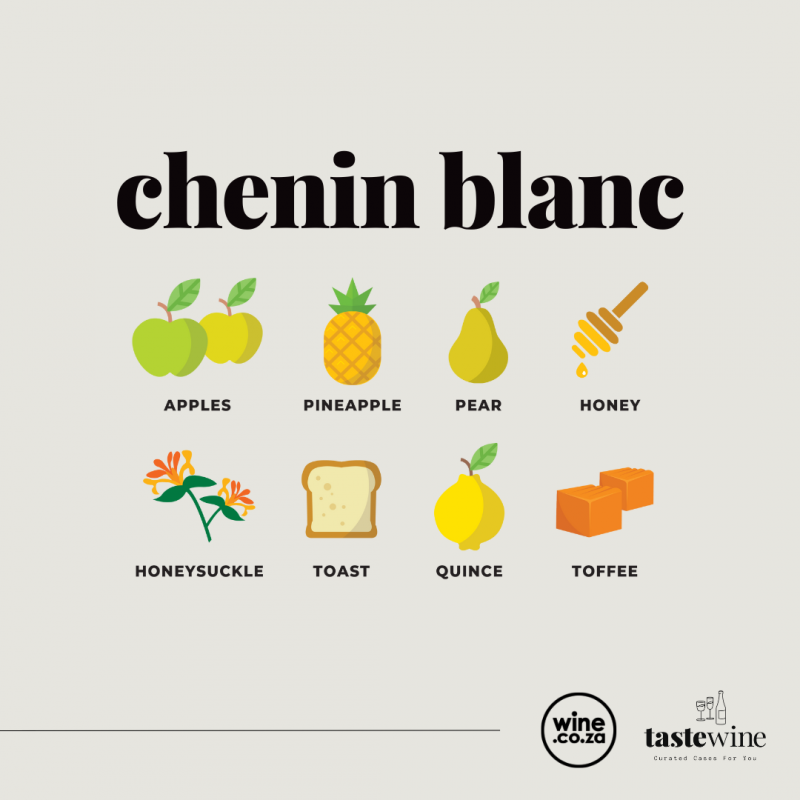 A Taste of Chenin Blanc A Taste of Chenin Blanc