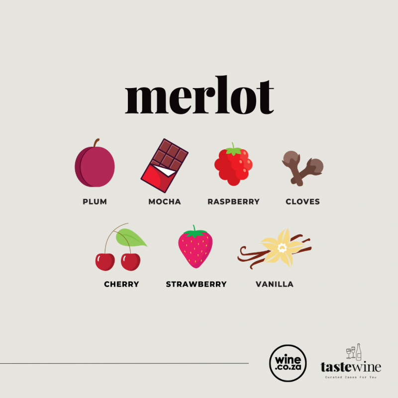 A Taste of Merlot A Taste of Merlot