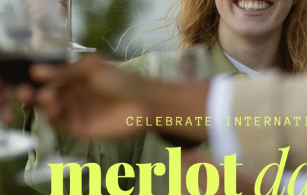 Celebrate Merlot Day with our Merlot Mixed Case
